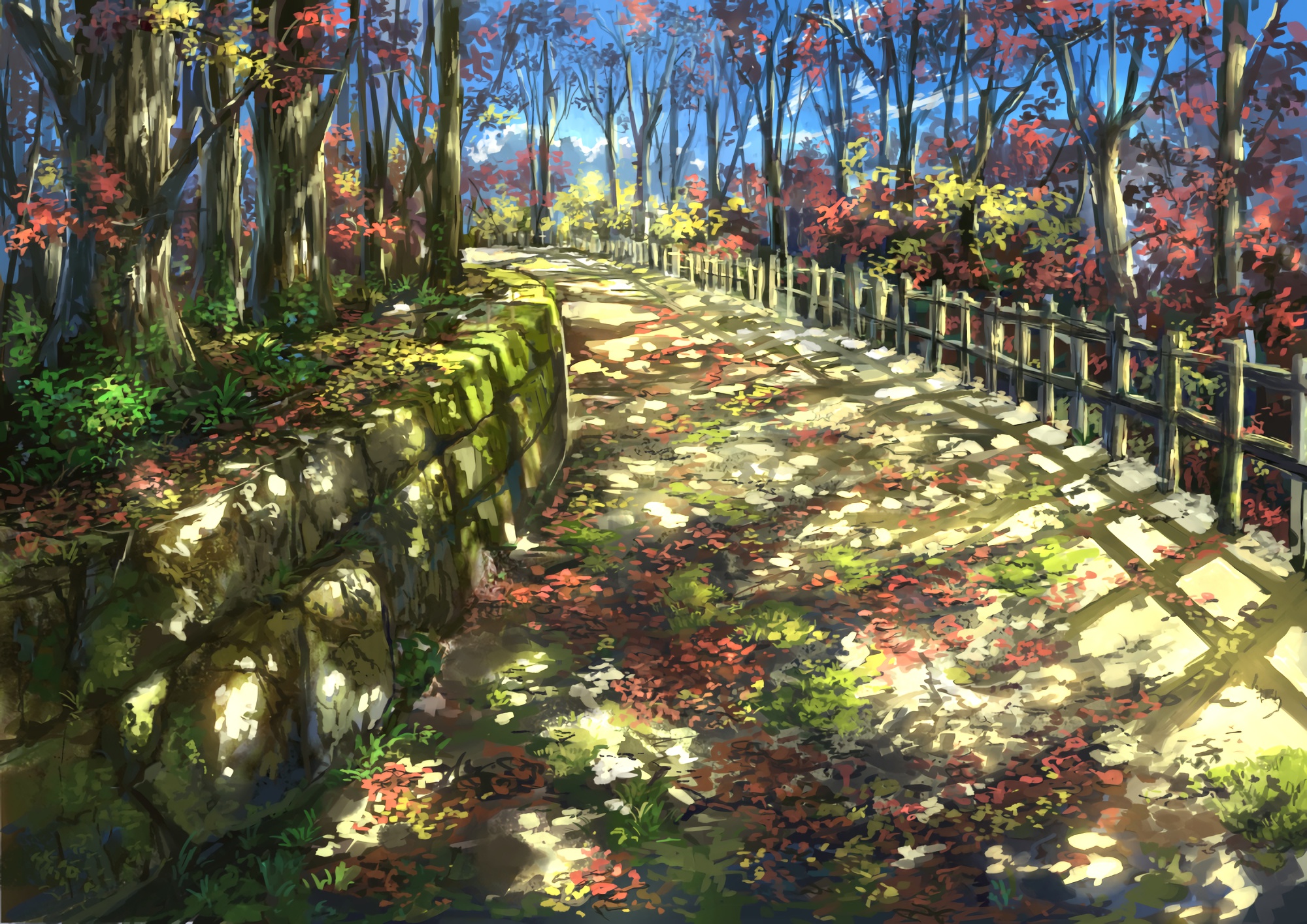 boxmoe_header_banner_img