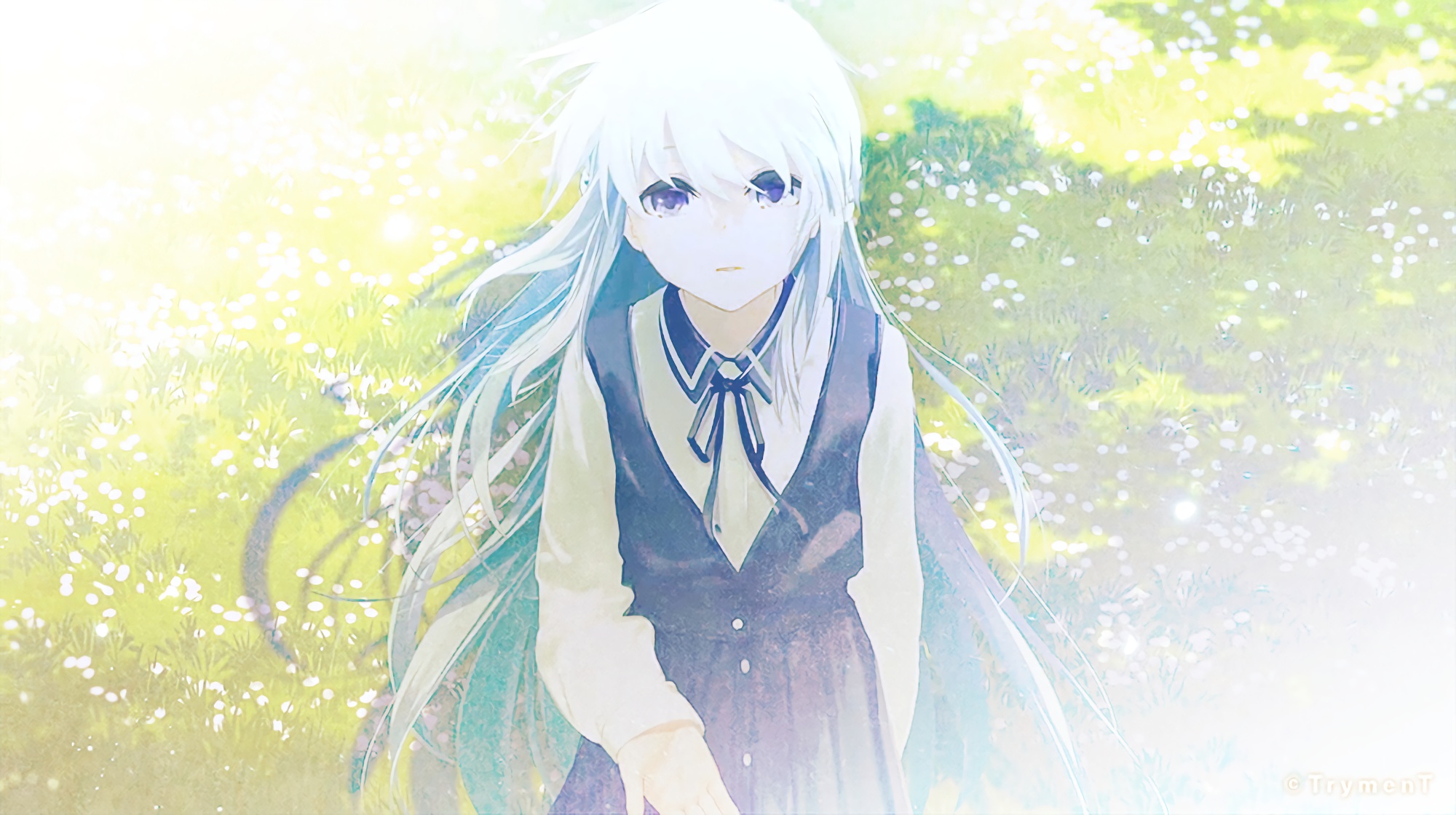 boxmoe_header_banner_img