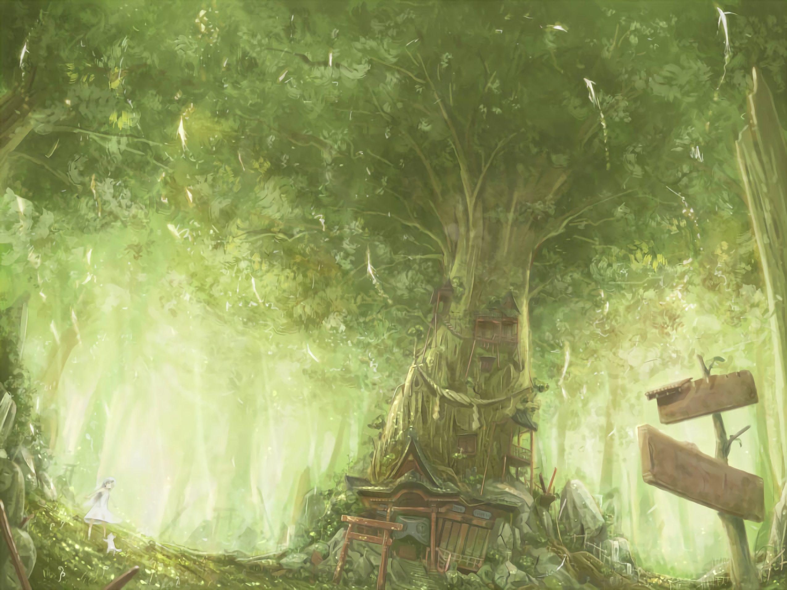 boxmoe_header_banner_img