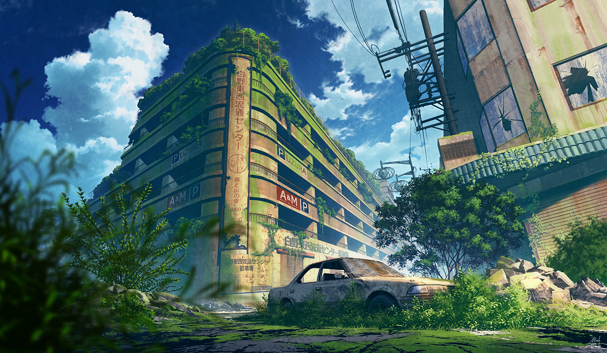 boxmoe_header_banner_img