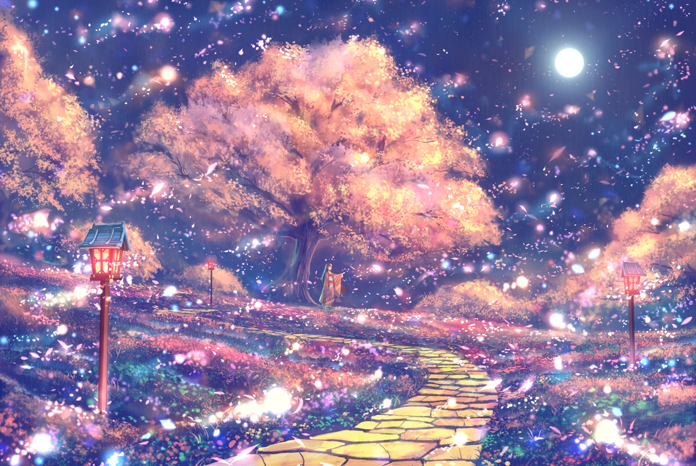 boxmoe_header_banner_img