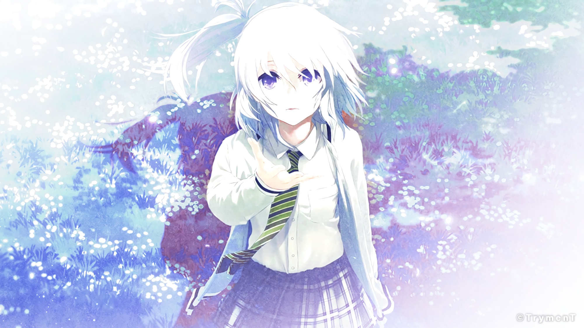 boxmoe_header_banner_img