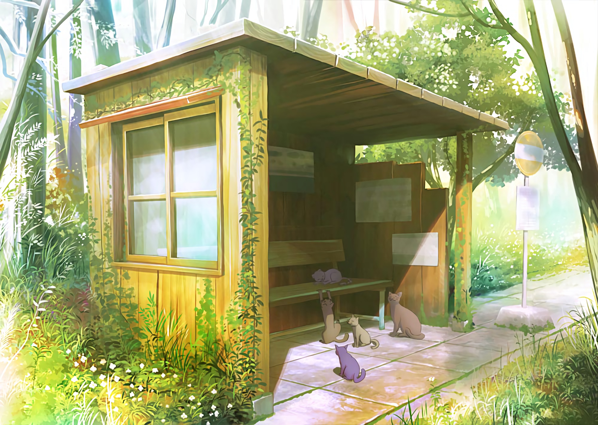 boxmoe_header_banner_img