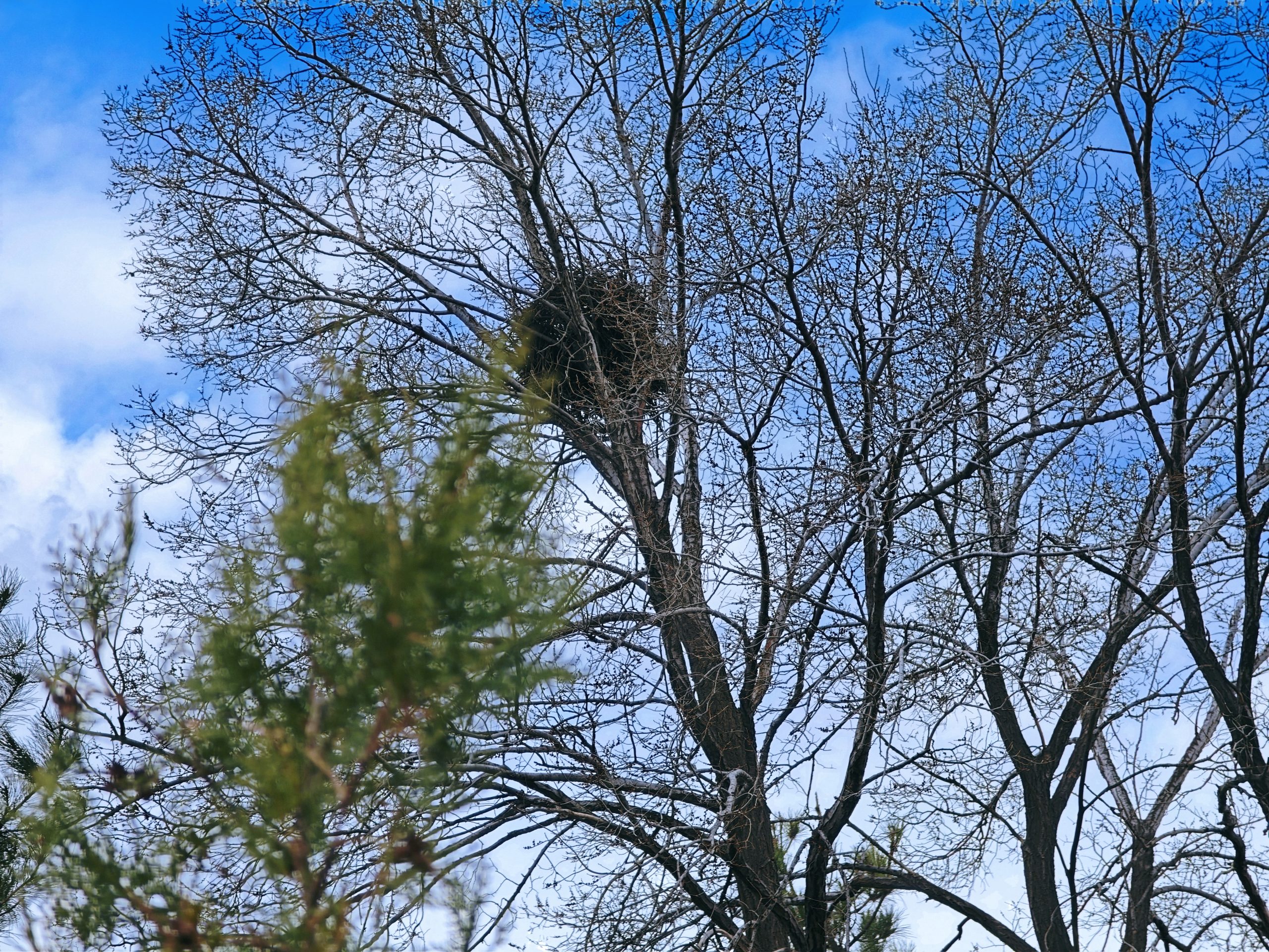 每日相片 2025-04-05