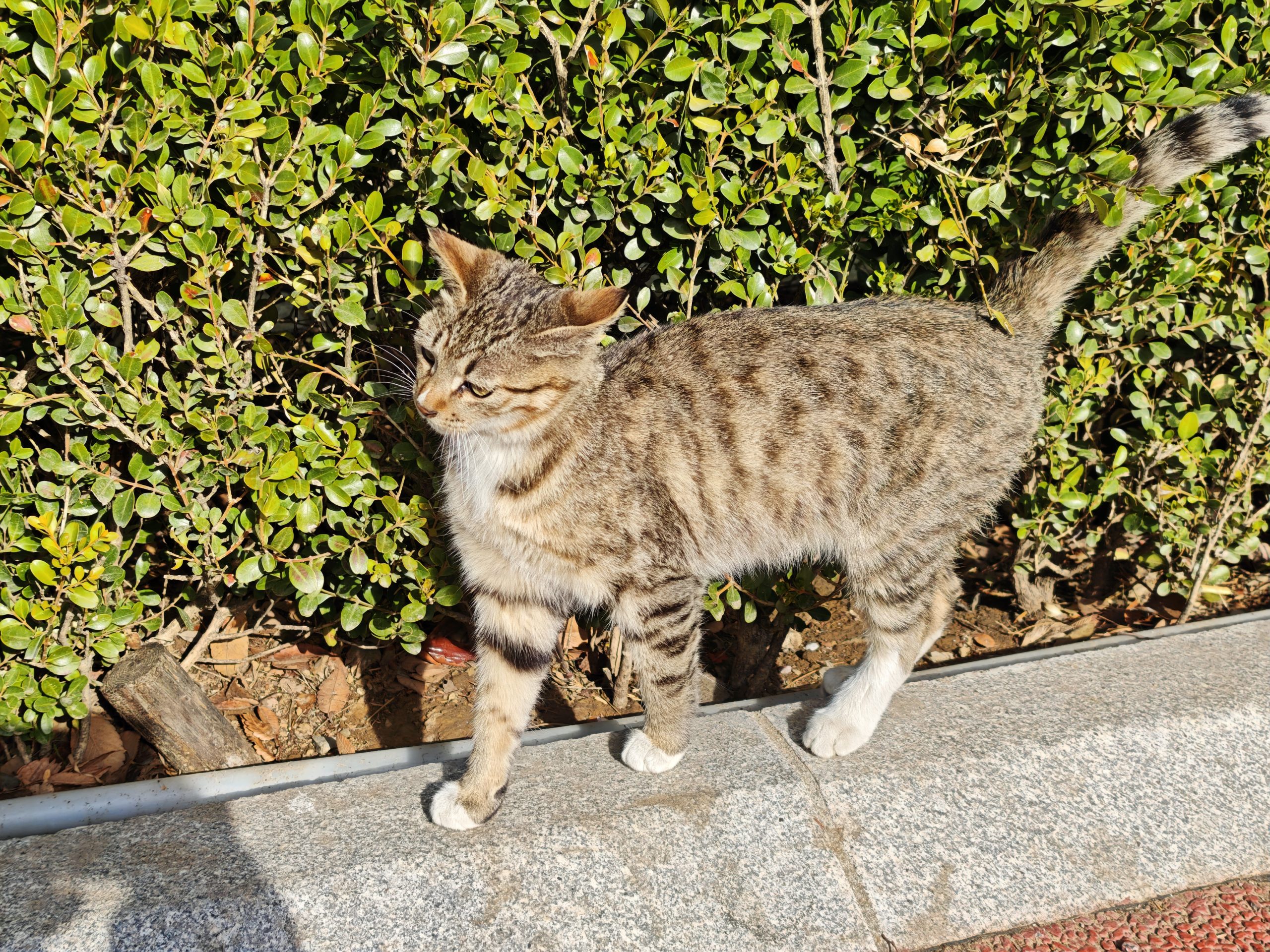 每日相片 2025-04-12