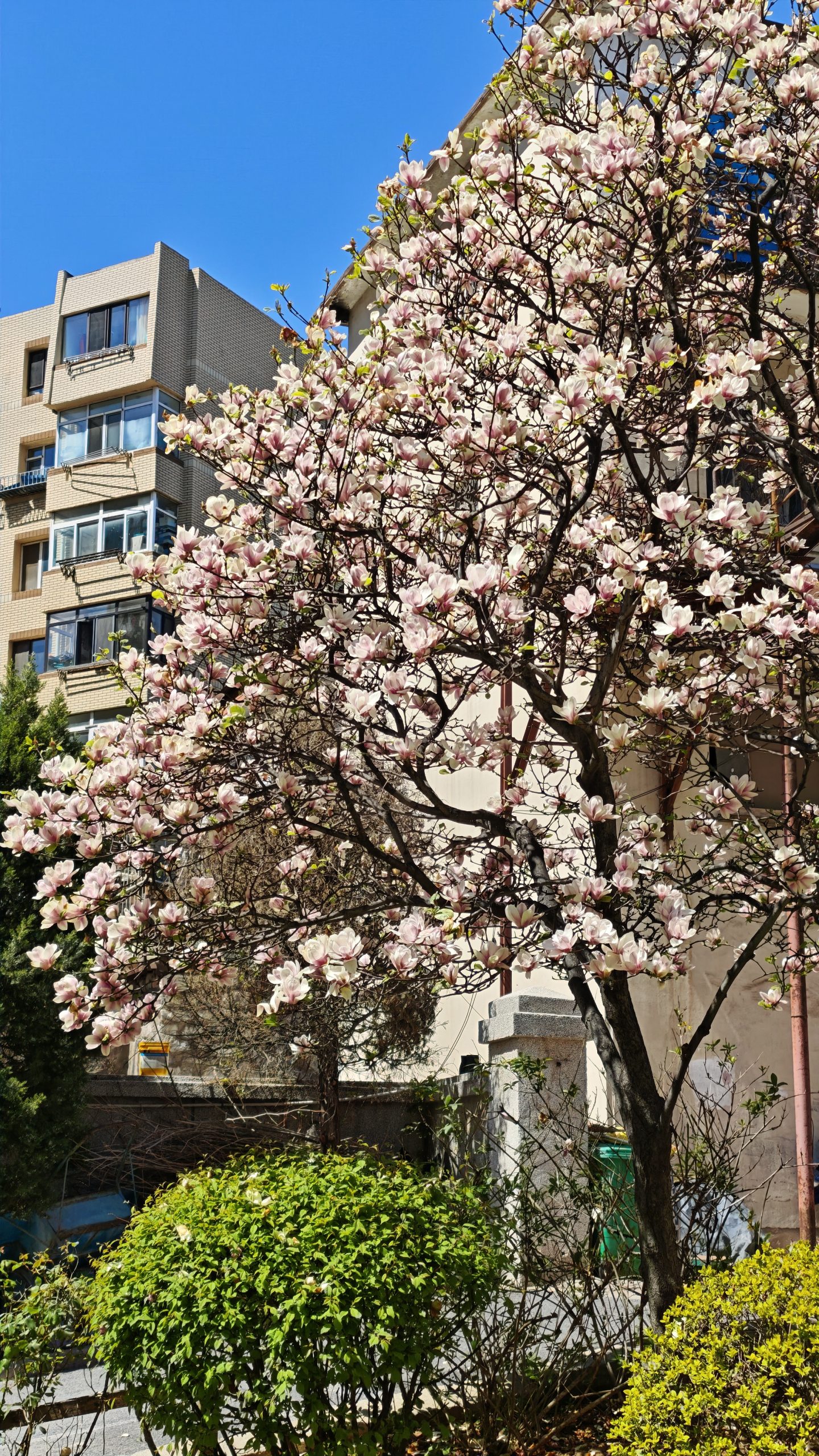 每日相片 2025-04-25