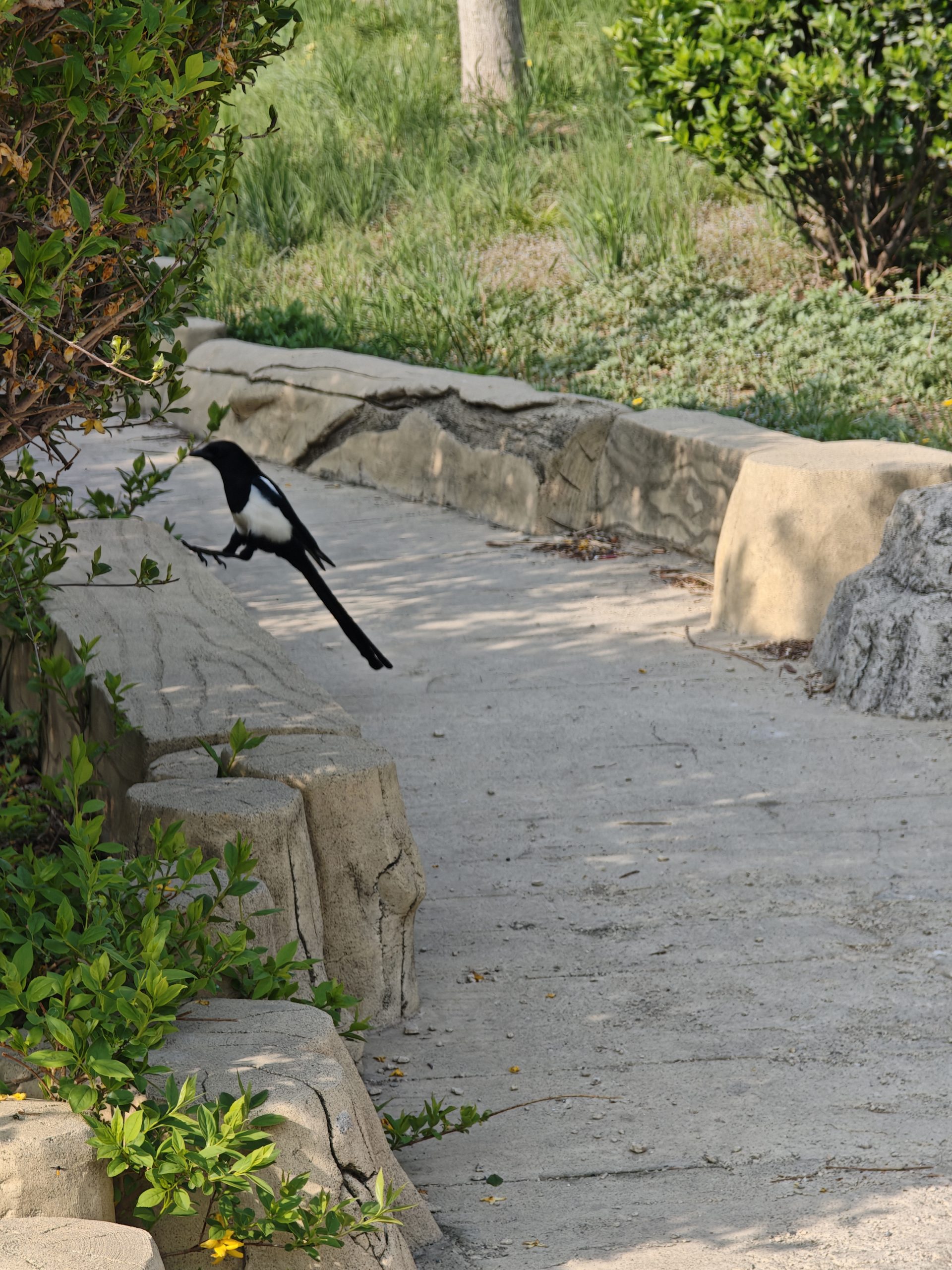 每日相片 2025-04-26