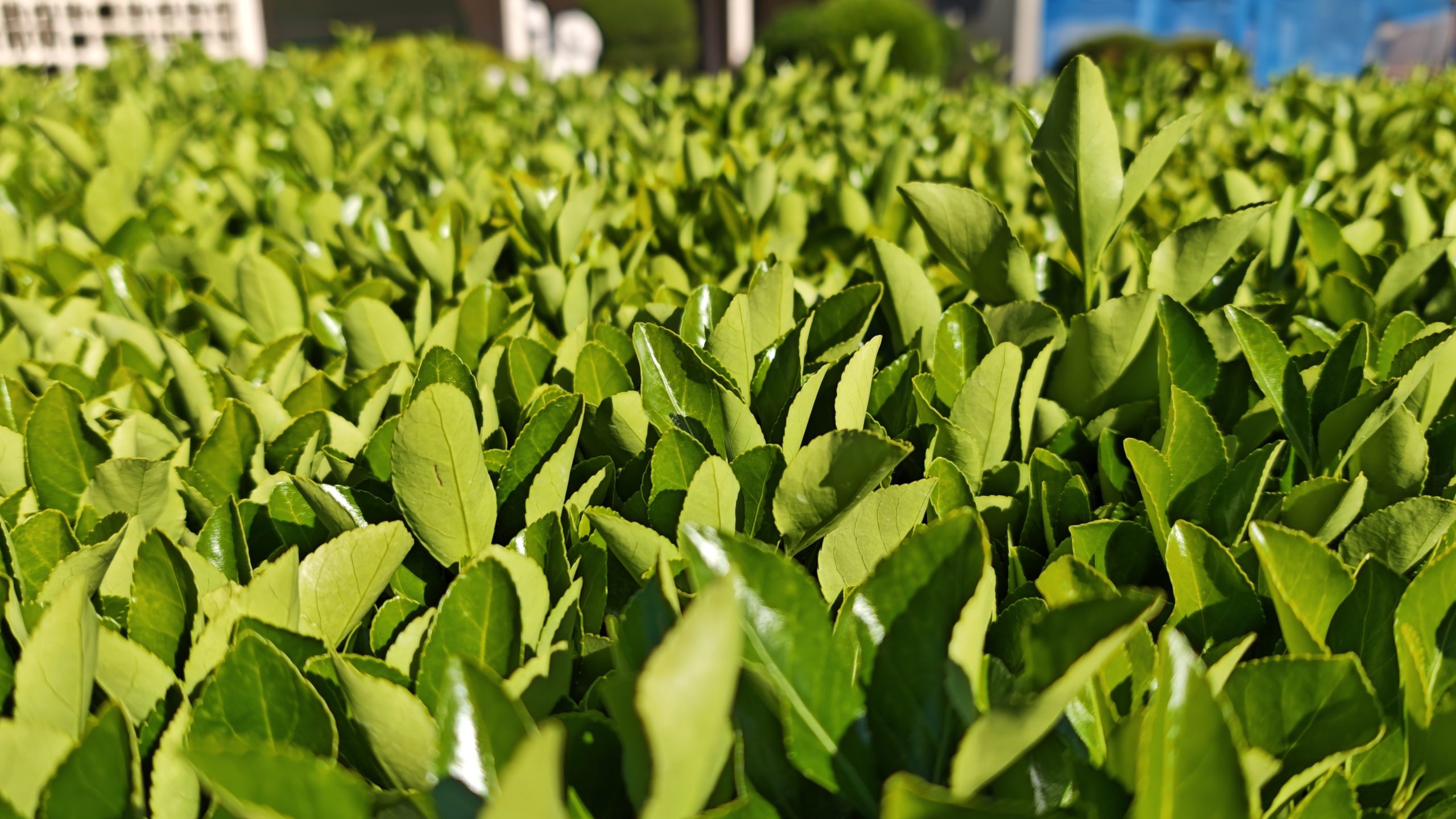 每日相片 2025-04-28