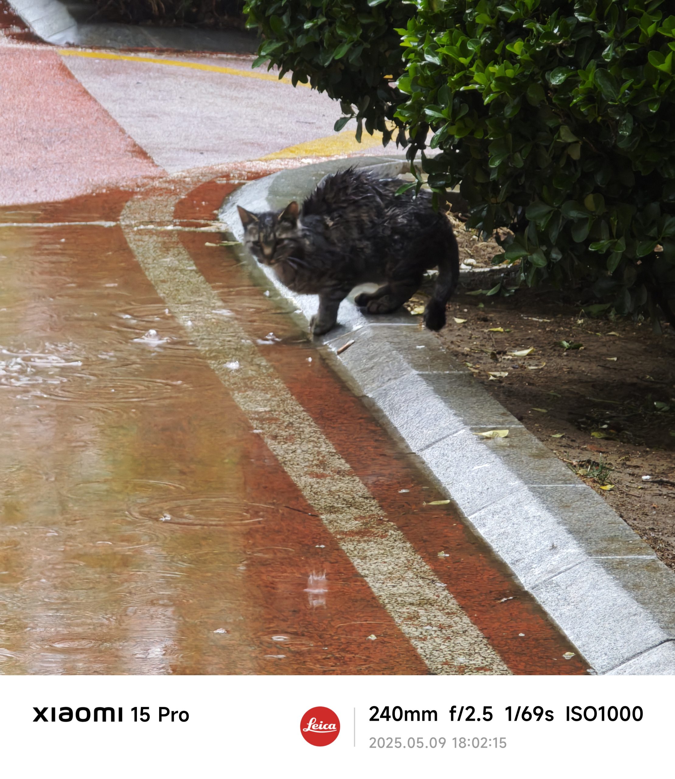 每日相片 2025-05-09