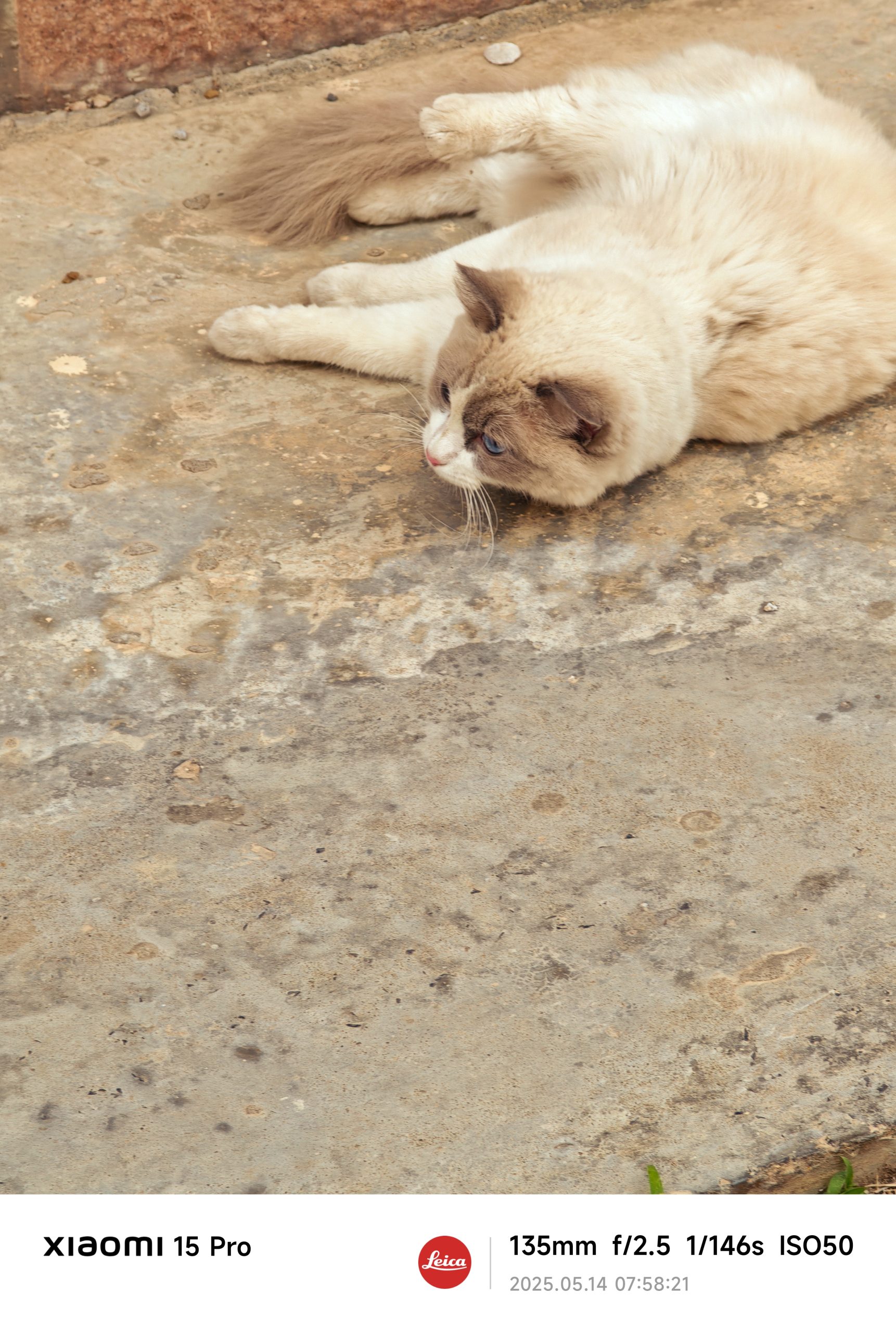 每日相片 2025-05-14