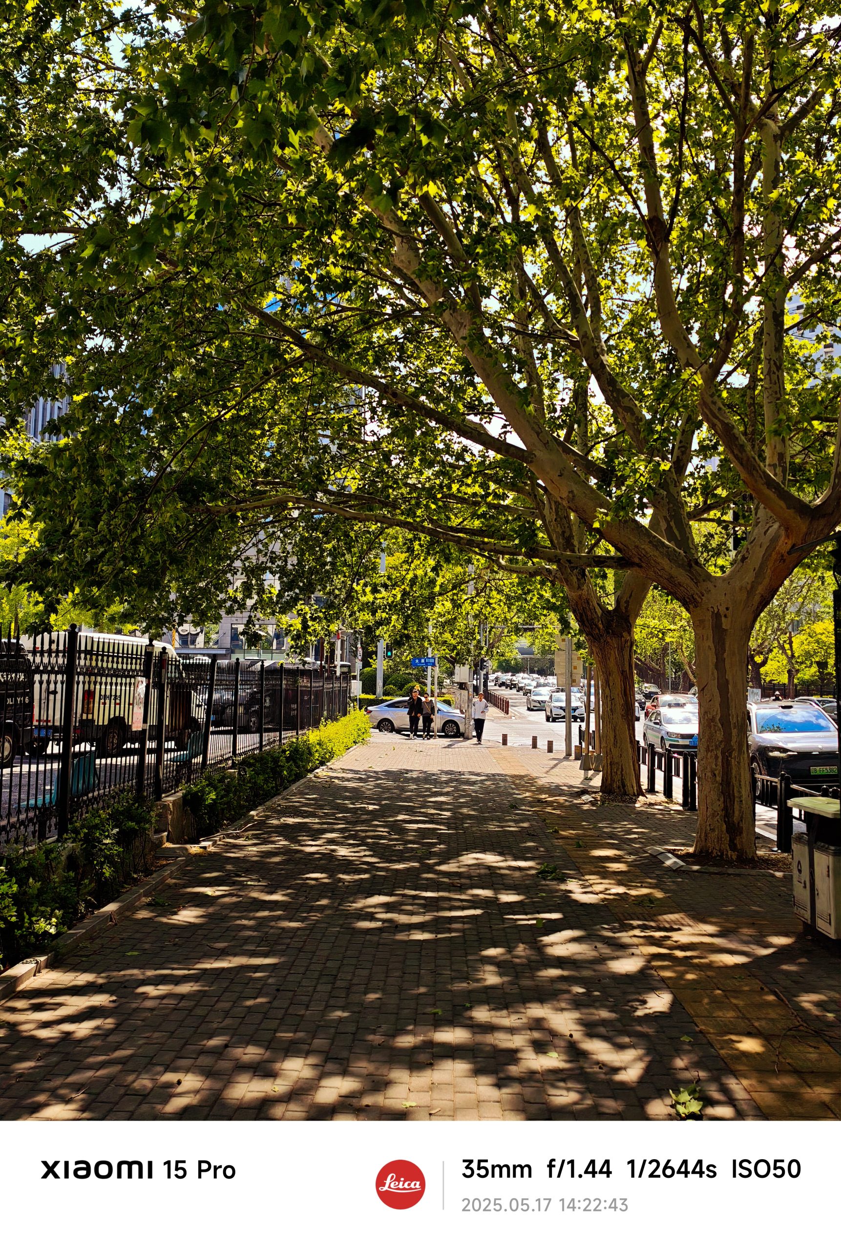 每日相片 2025-05-17