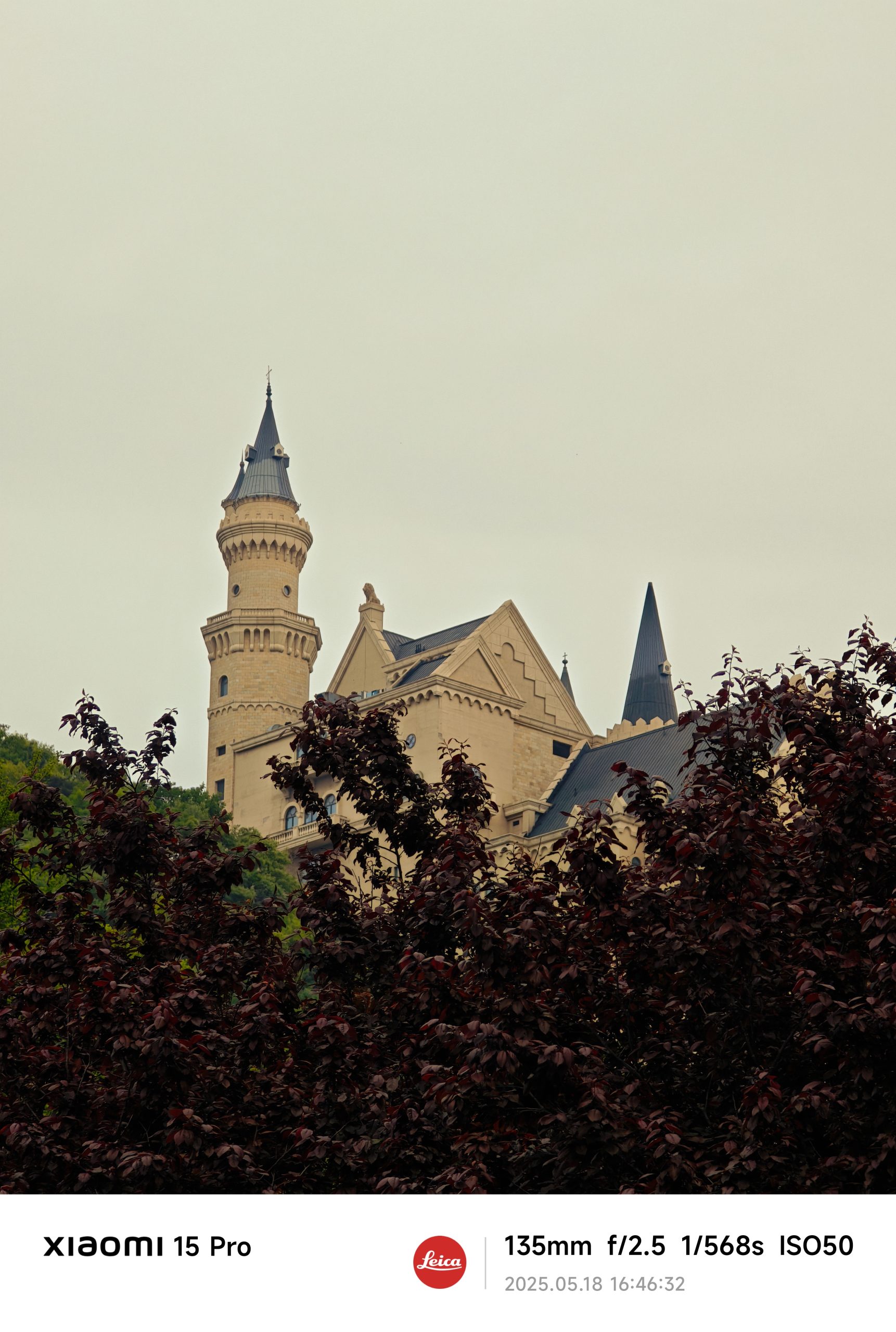 每日相片 2025-05-18