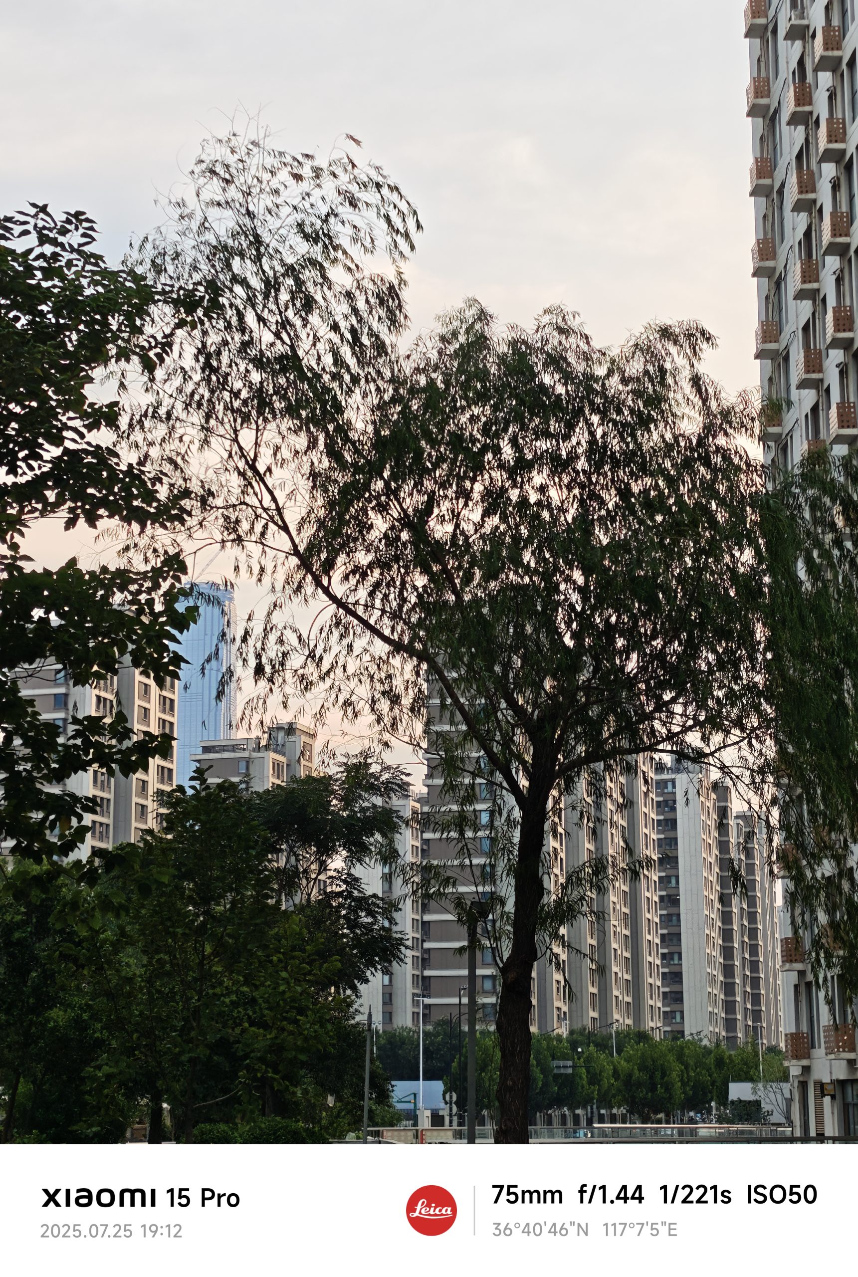 每日相片 2025-07-25