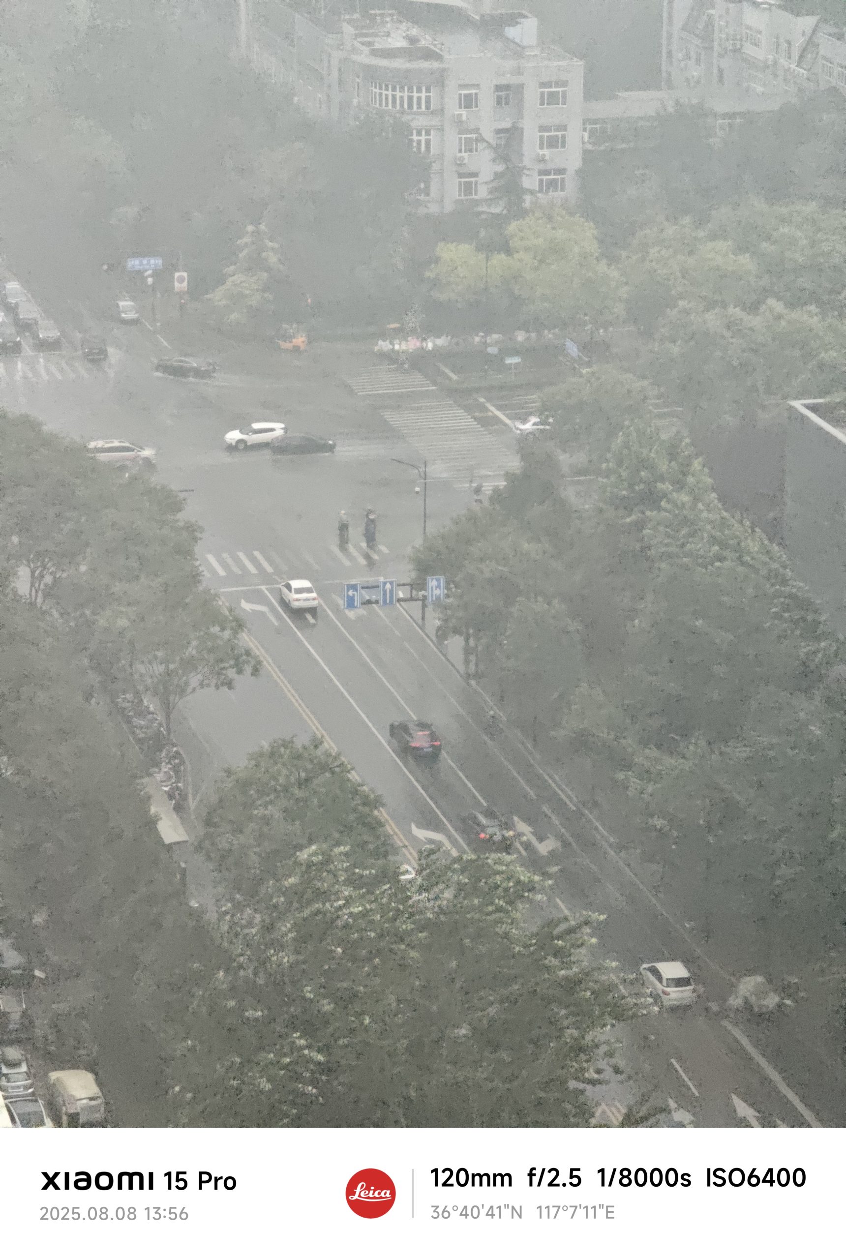 每日相片 2025-08-08