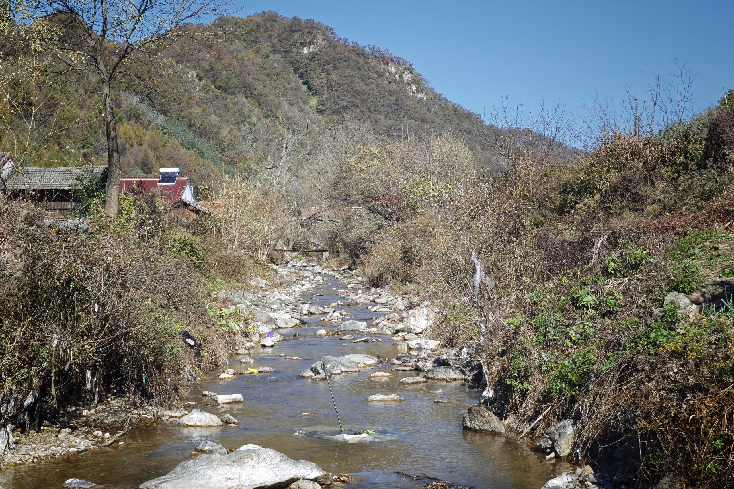 每日相片 2025-10-21