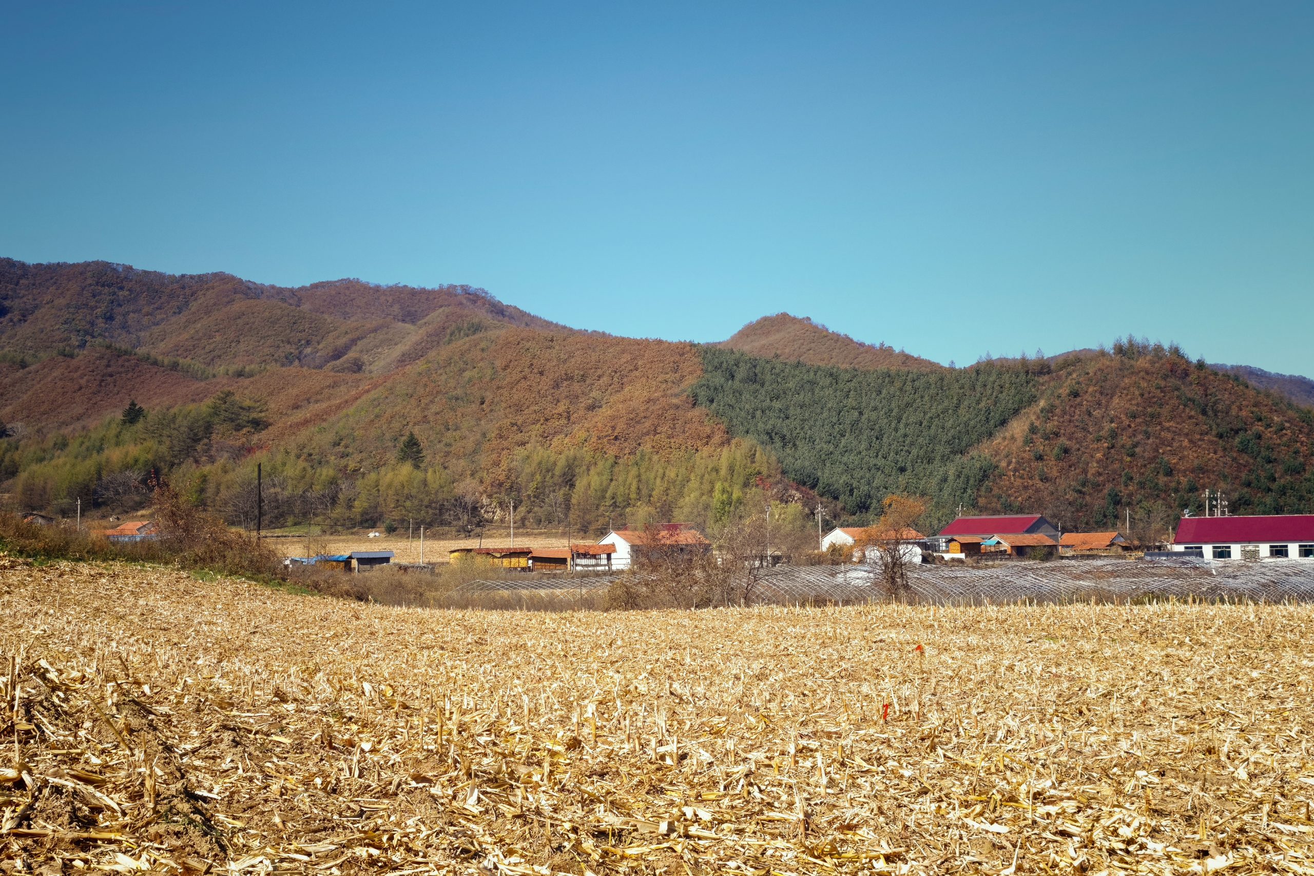 每日相片 2025-10-22