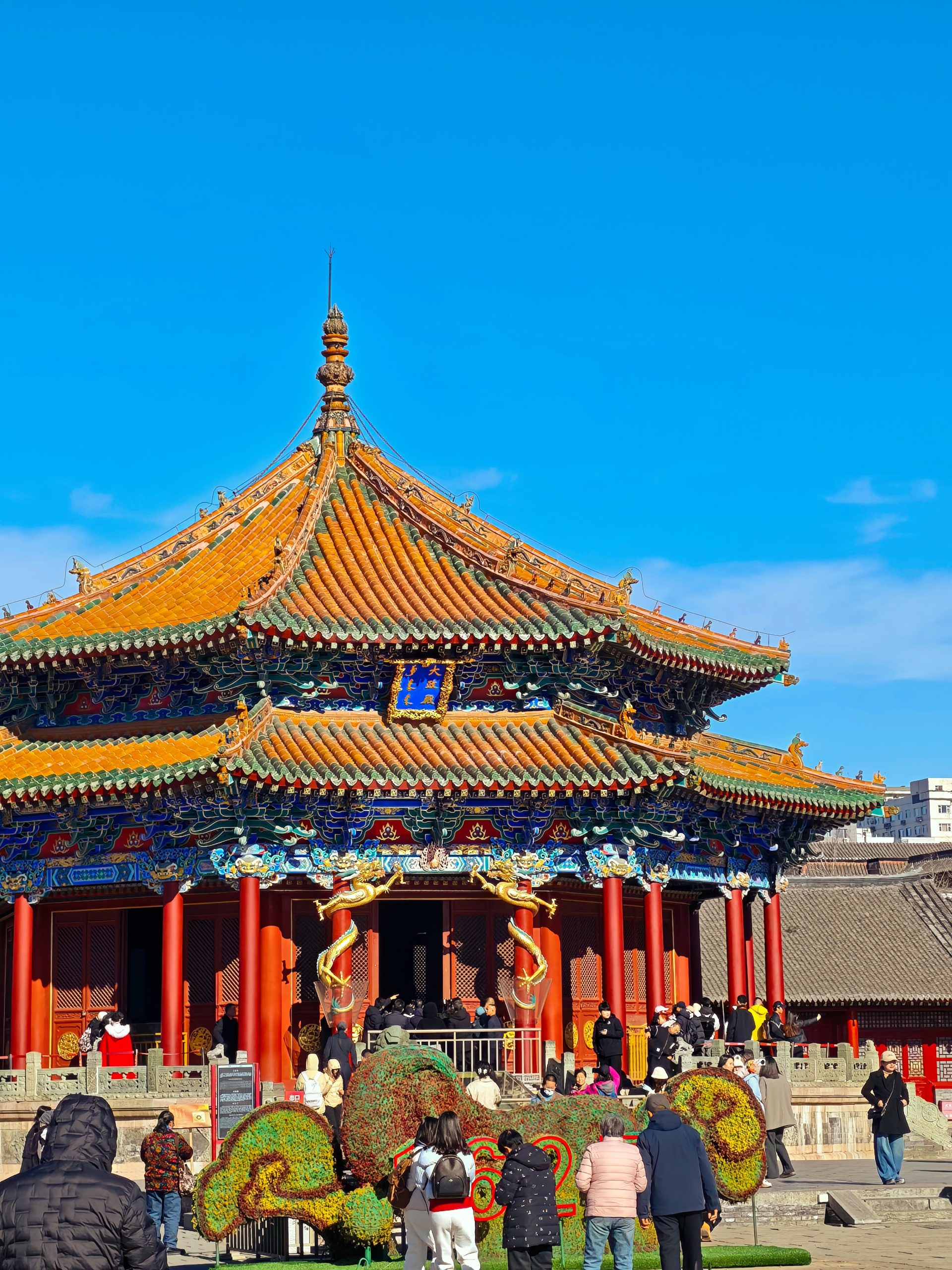 每日相片 2025-11-20