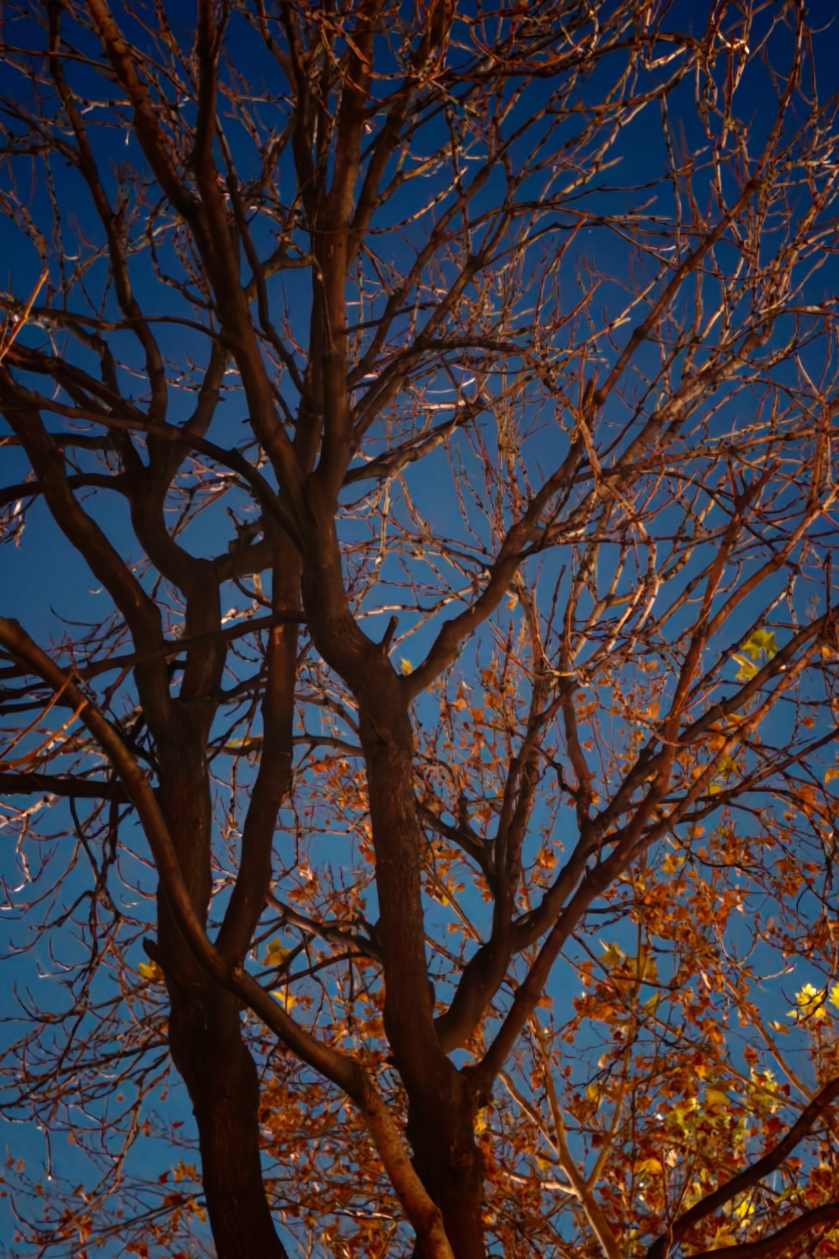 每日相片 2025-12-03