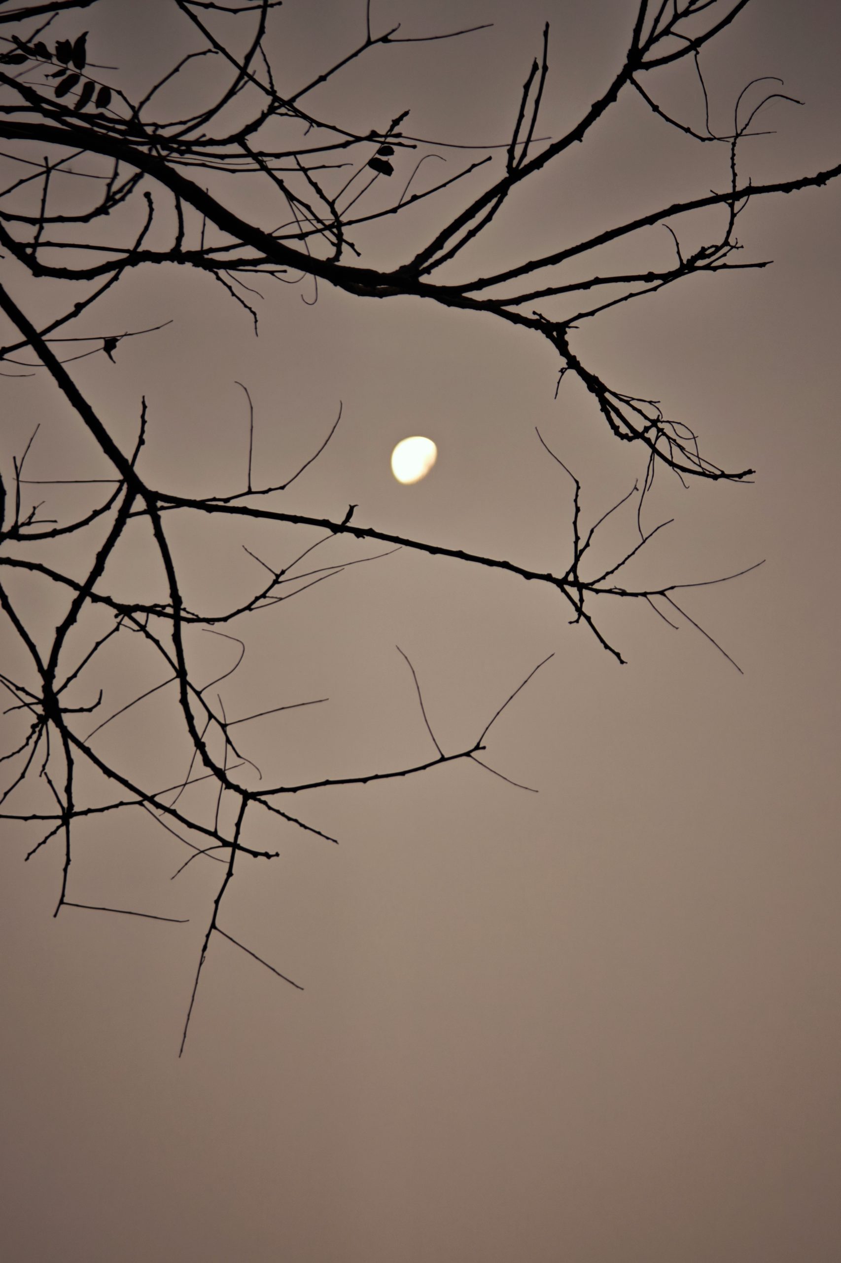 每日相片 2025-12-09