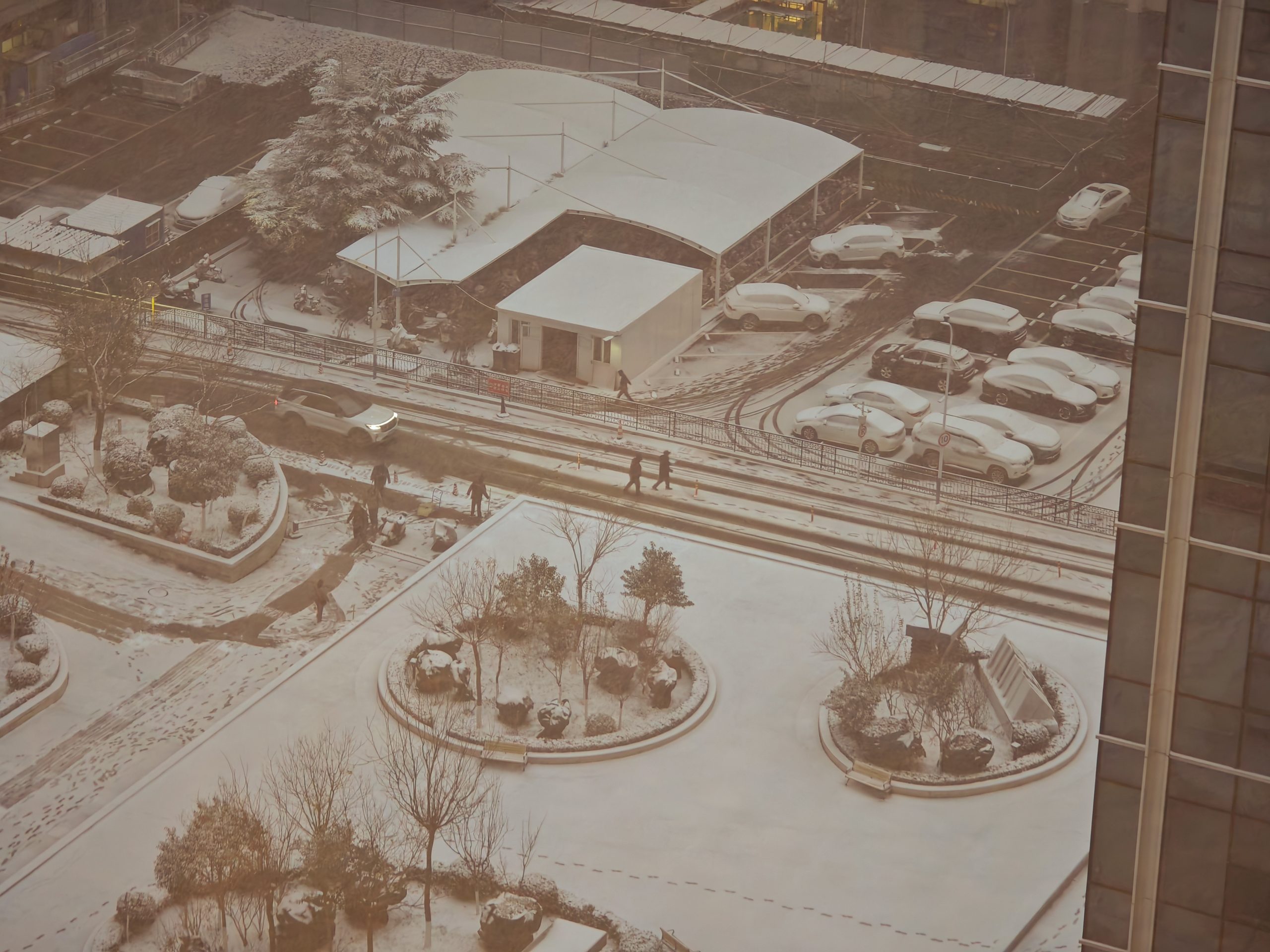 每日相片 2025-12-12