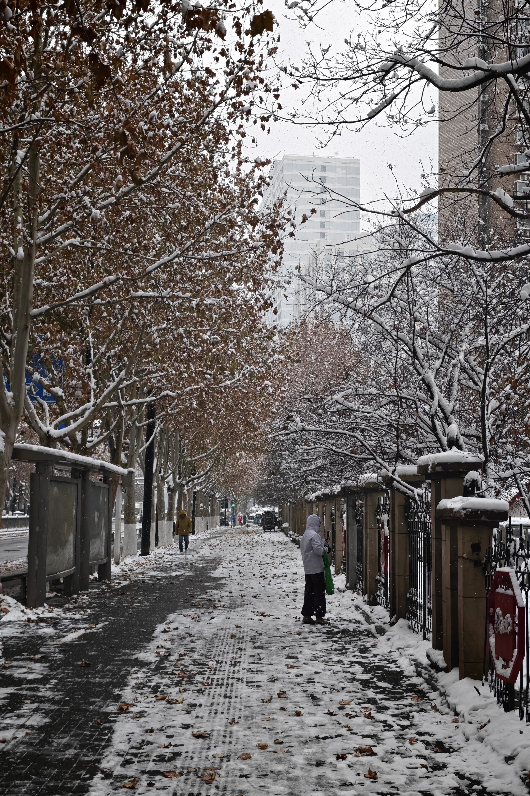 每日相片 2025-12-13