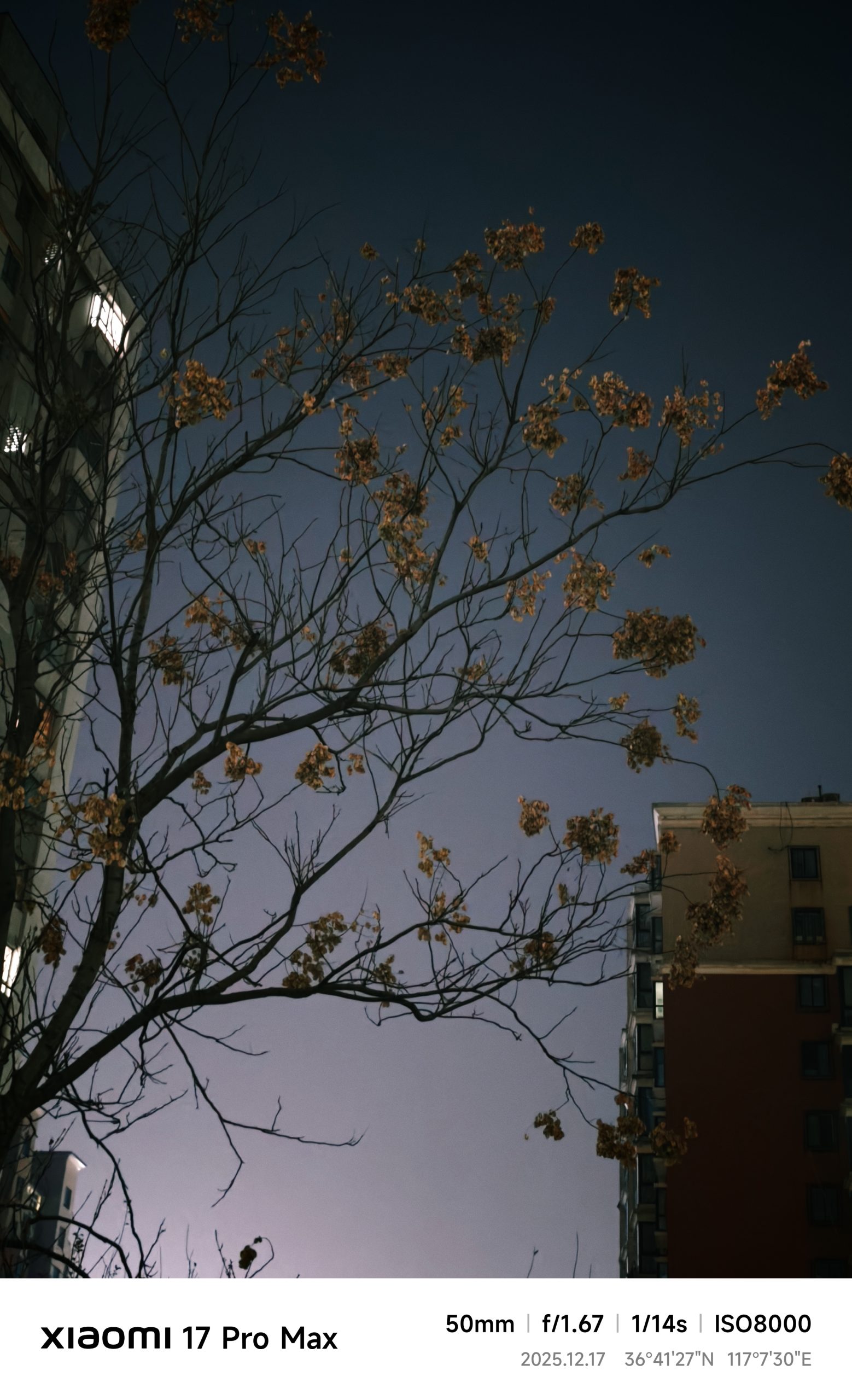 每日相片 2025-12-17