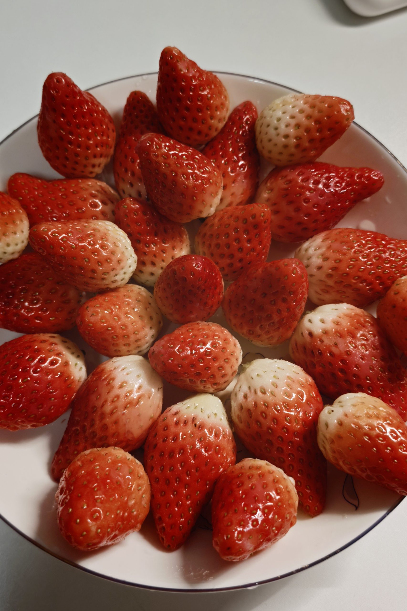 每日相片 2025-12-28