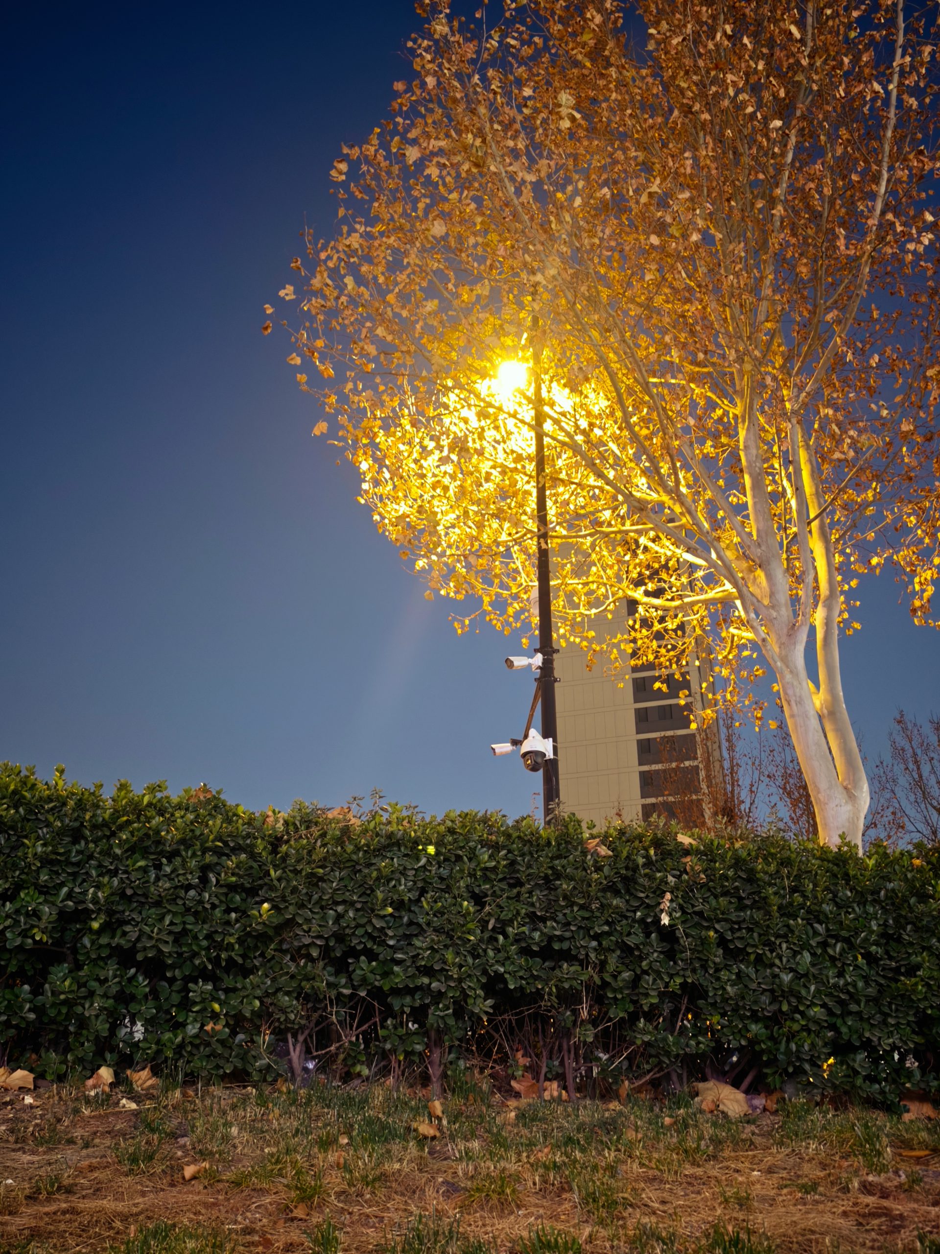 每日相片 2026-01-13