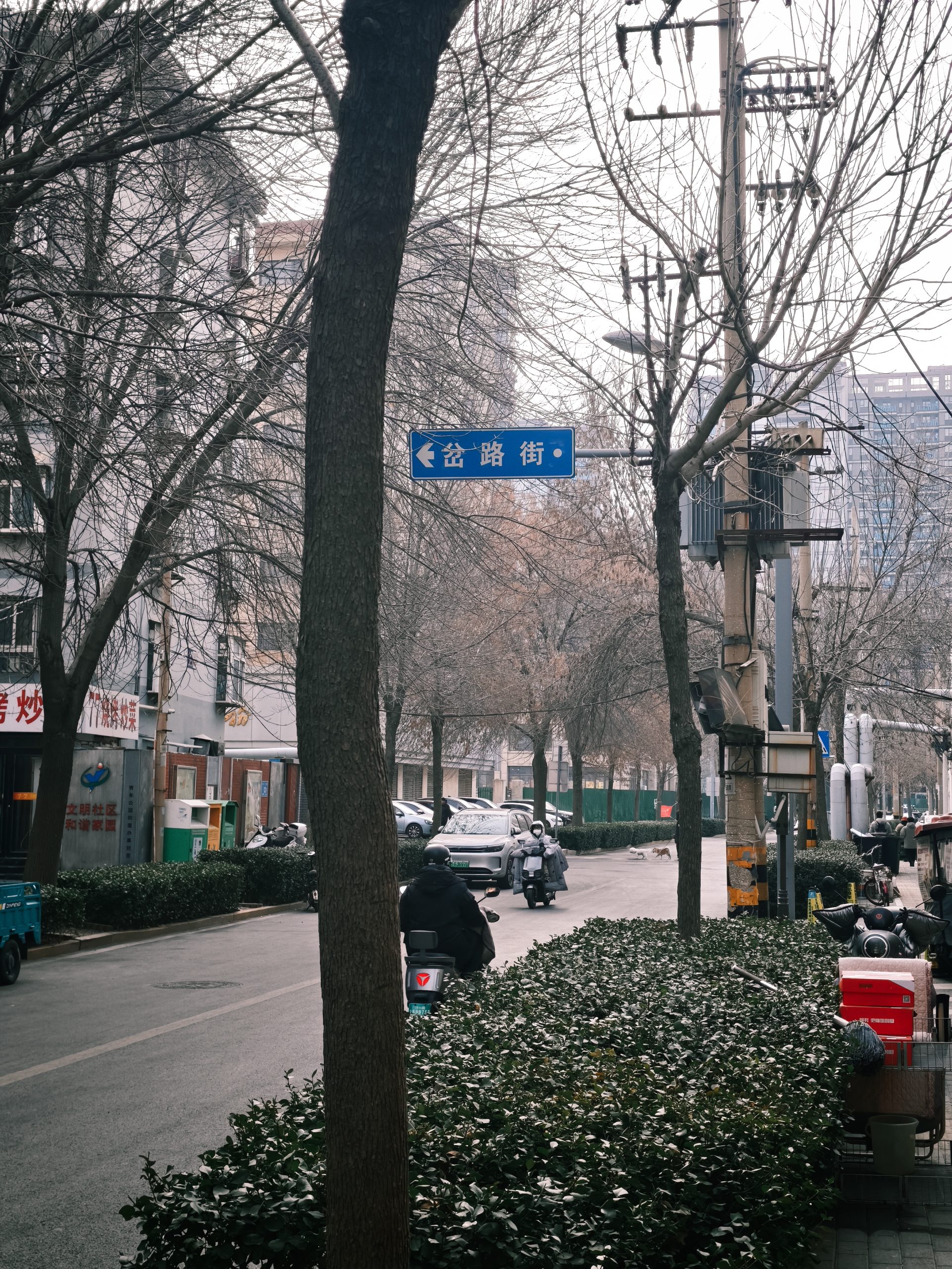 每日相片 2026-01-17