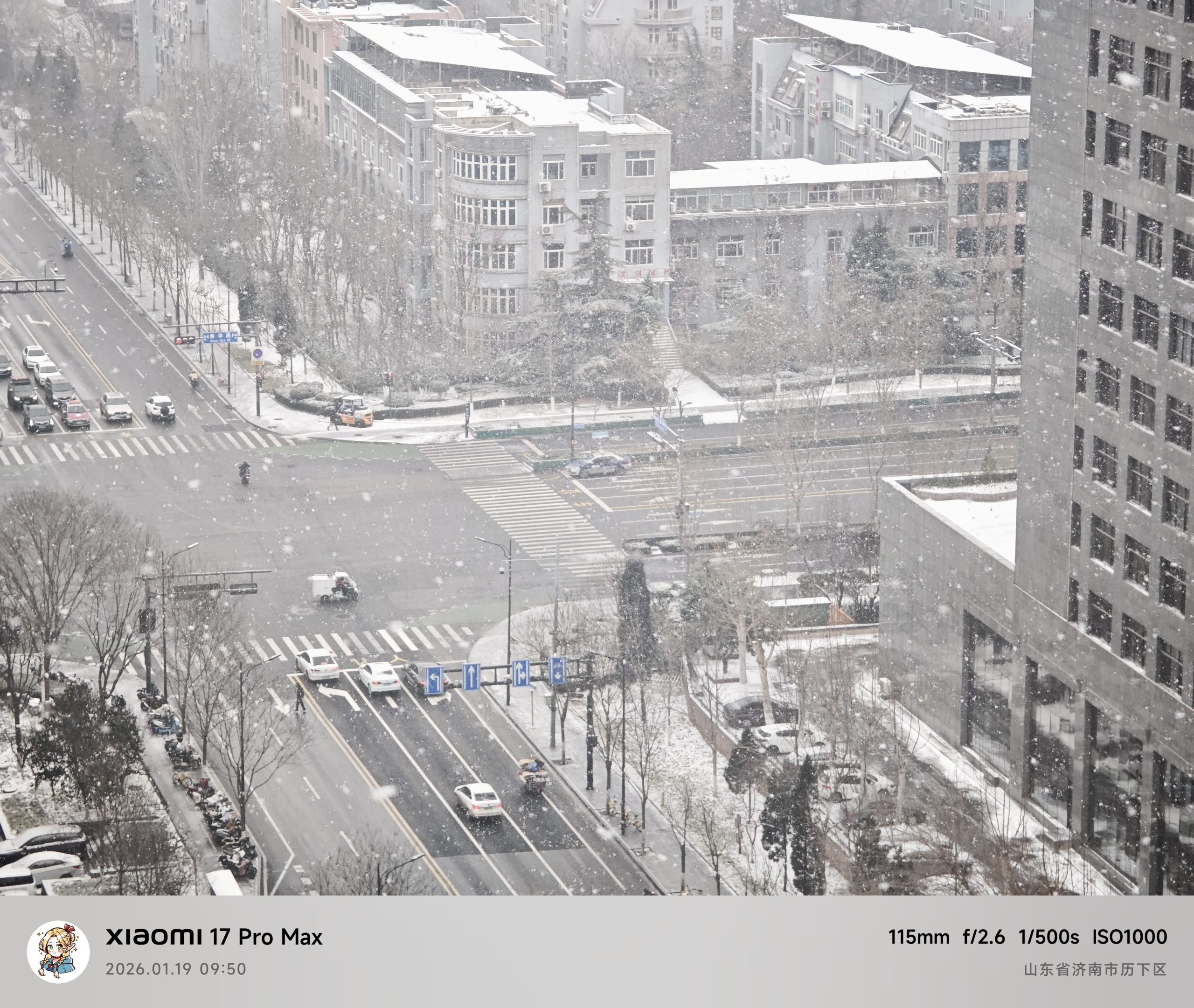 每日相片 2026-01-19